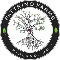 Pattrino Farms