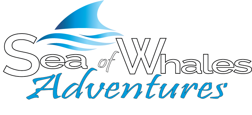Sea of Whales