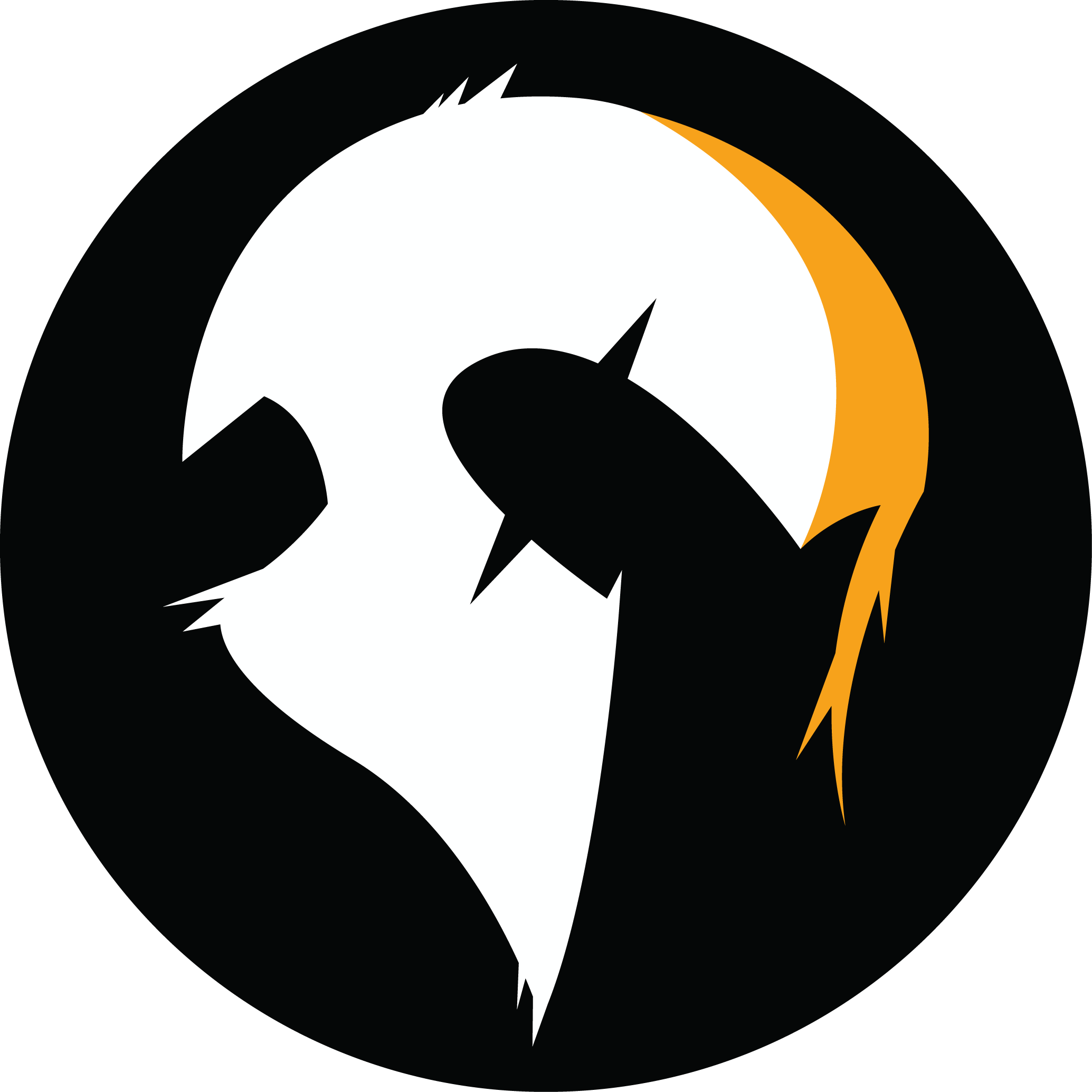 Anonymous Warrior