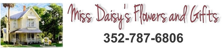 Miss Daisy's Flowers and Gifts