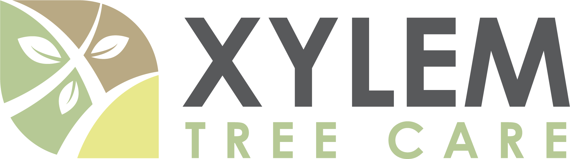 Xylem Tree Care
