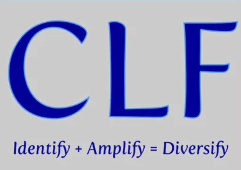 Community Leadership Fellows