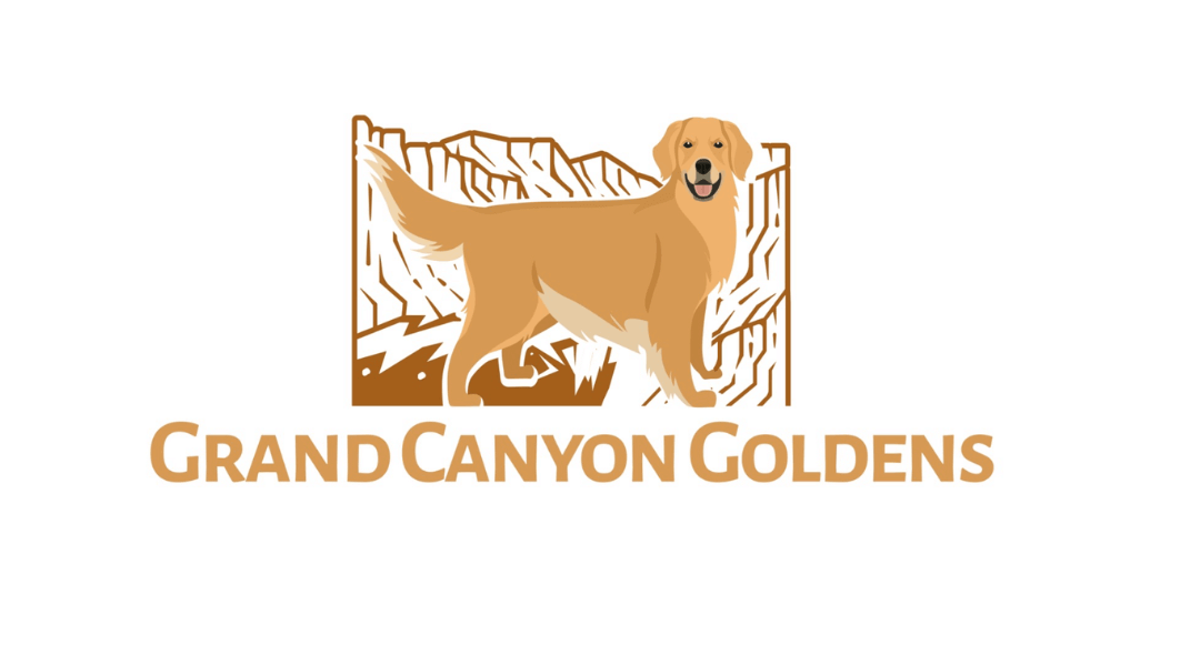 Grand Canyon Goldens