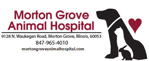 Morton Grove Animal Hospital