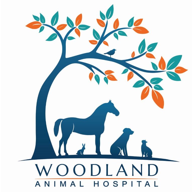 Woodland Animal Hospital