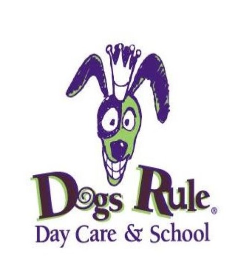 Dogs Rule Daycare and School