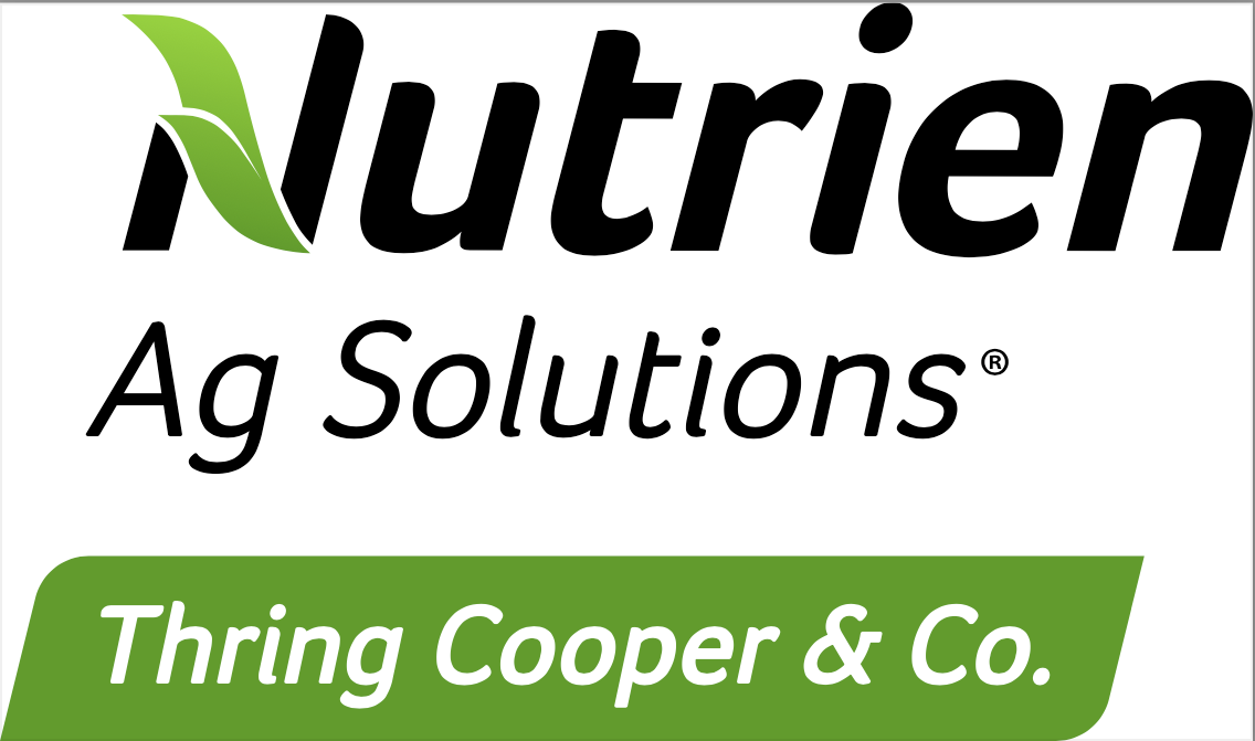 Thring Cooper & Co