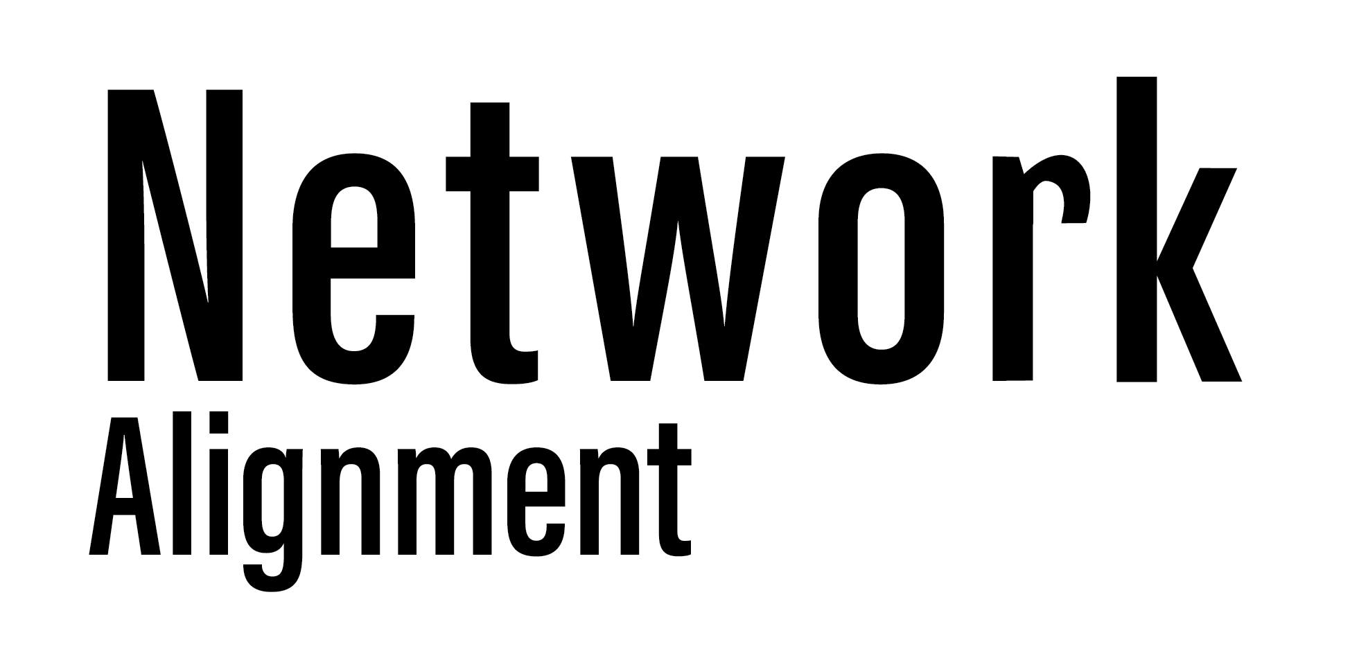 Network Alignment