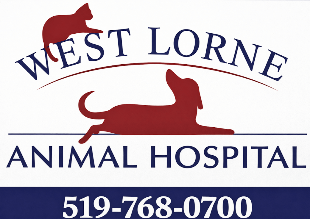 West Lorne Animal Hospital