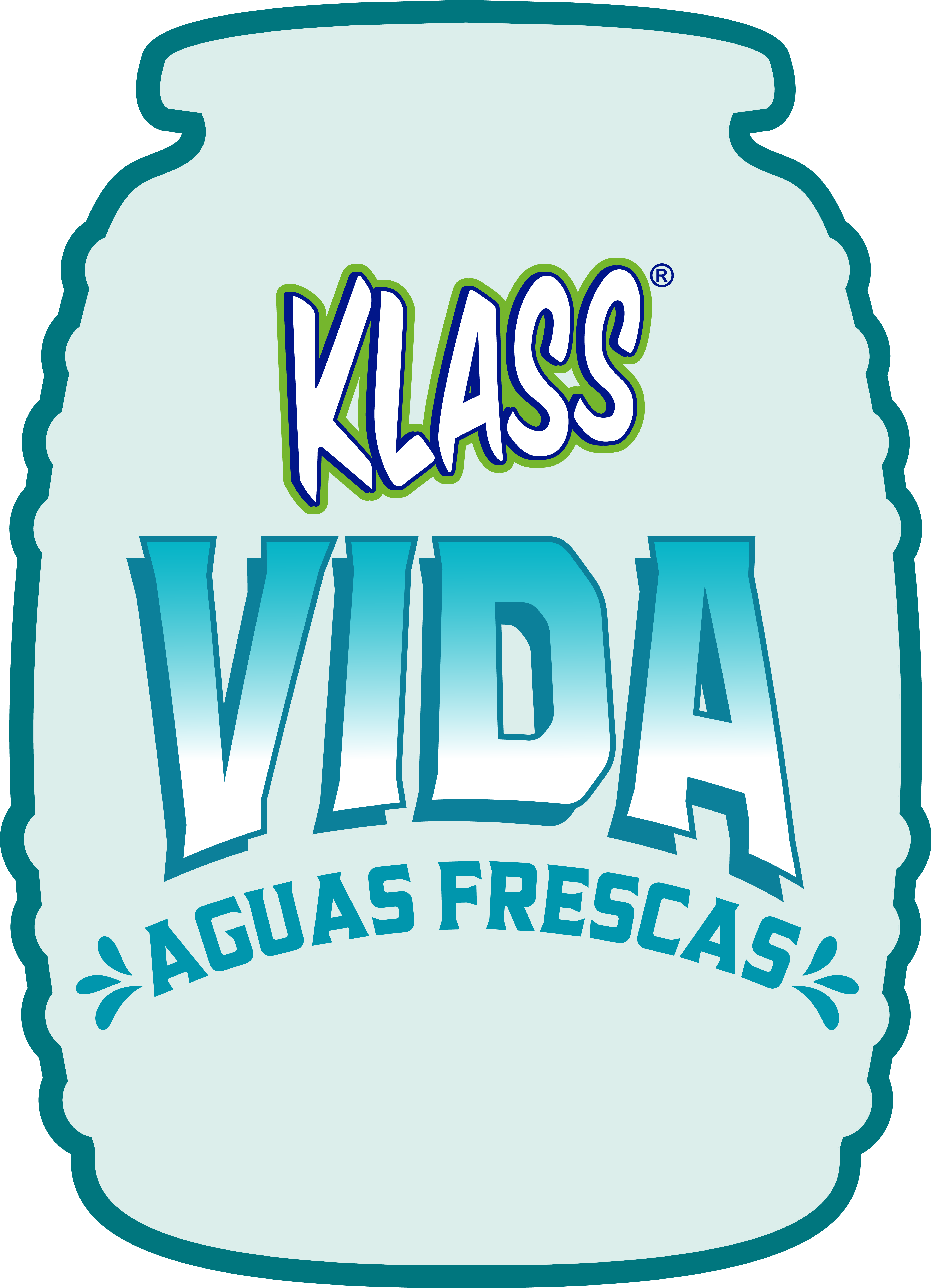 Klass Vida