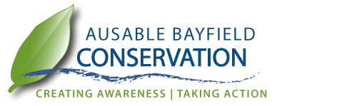 Ausable Bayfield Conservation