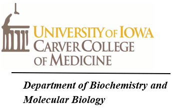 University of Iowa Department of Biochemistry and Molecular Biology