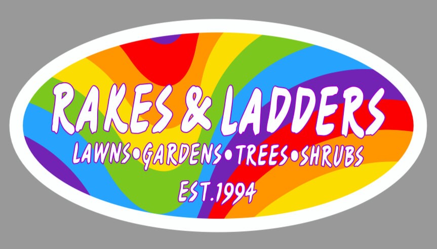 Rakes and Ladders