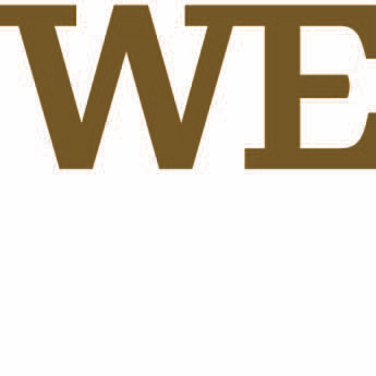 Wells Fargo Advisors - Greg Zanolli