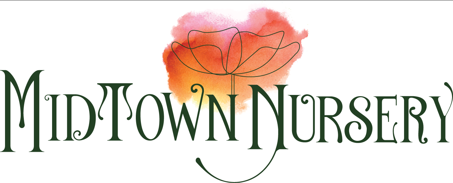 Midtown Nursery