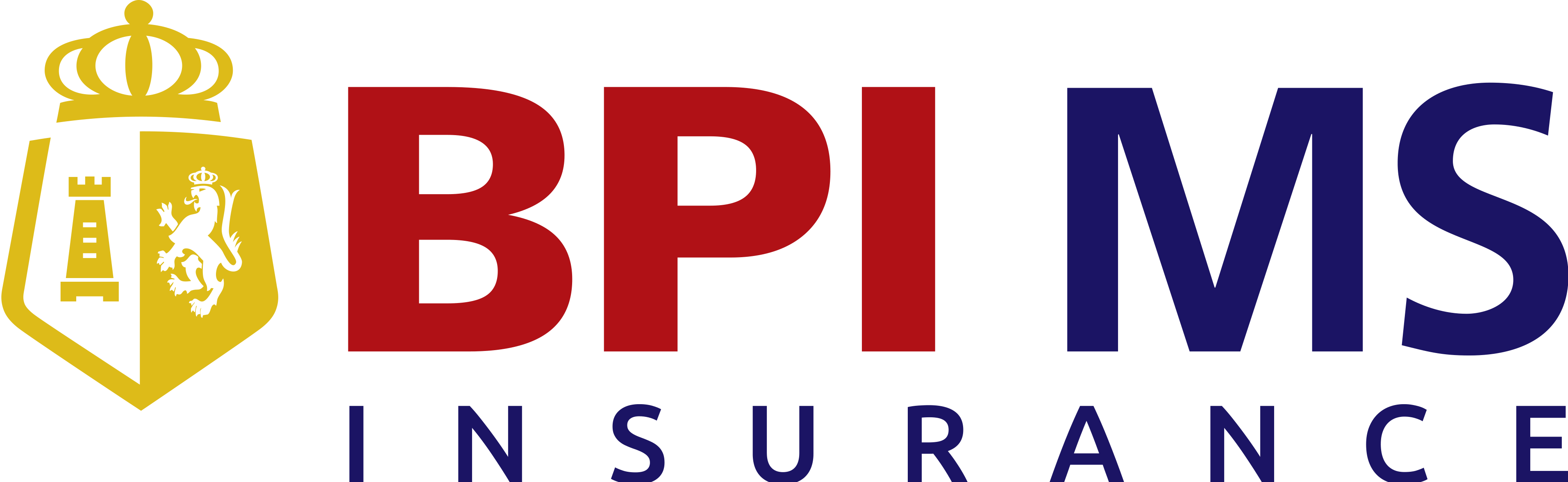 BPI MS
