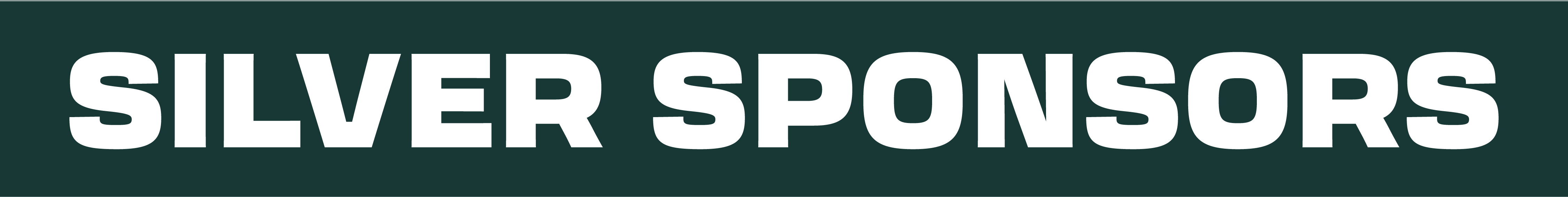 Silver Sponsors