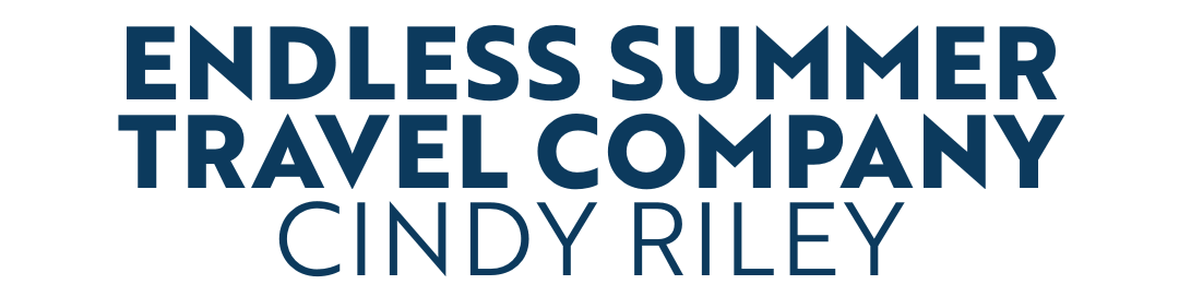 Endless Summer Travel - Cindy Riley