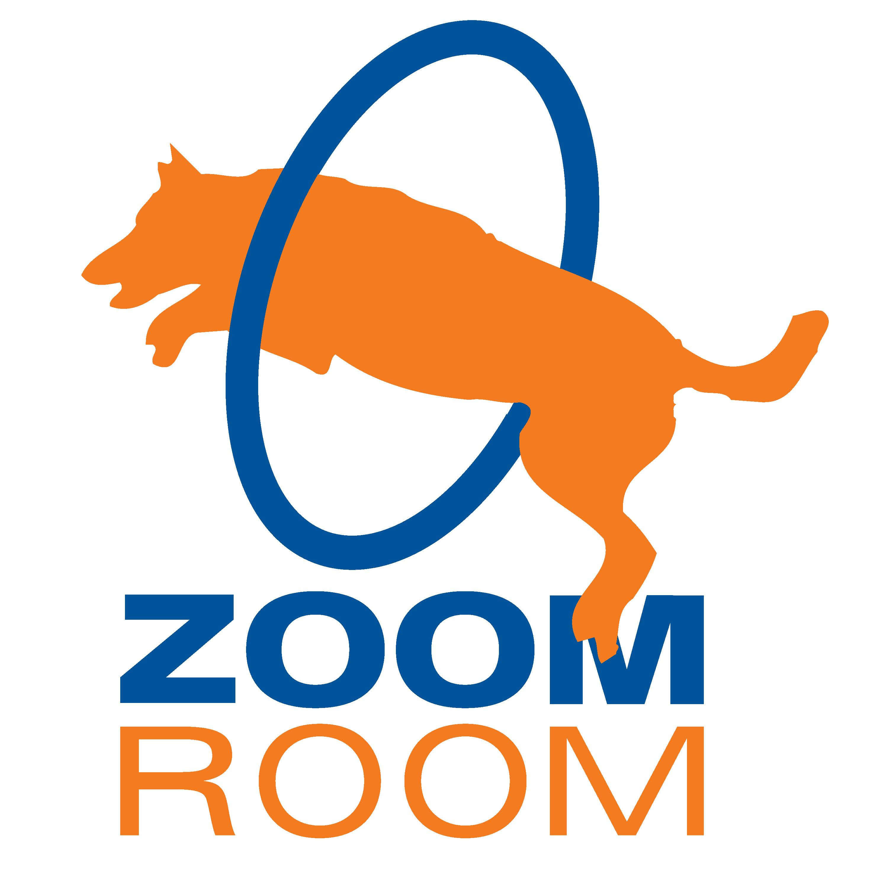 Zoom Room