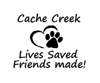 Cache Creek Animal Rescue