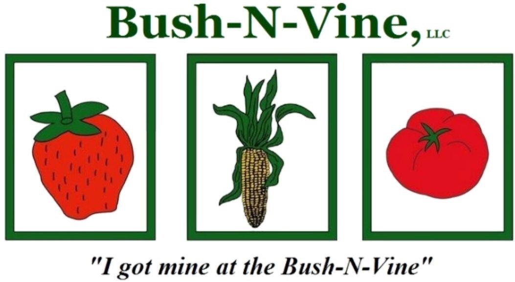 Bush-N-Vine