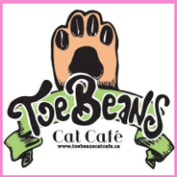 Toe Beans Cat Cafe